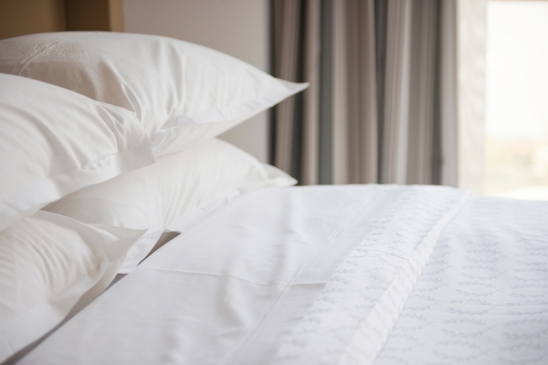 B&B pet friendly a Montescudaio